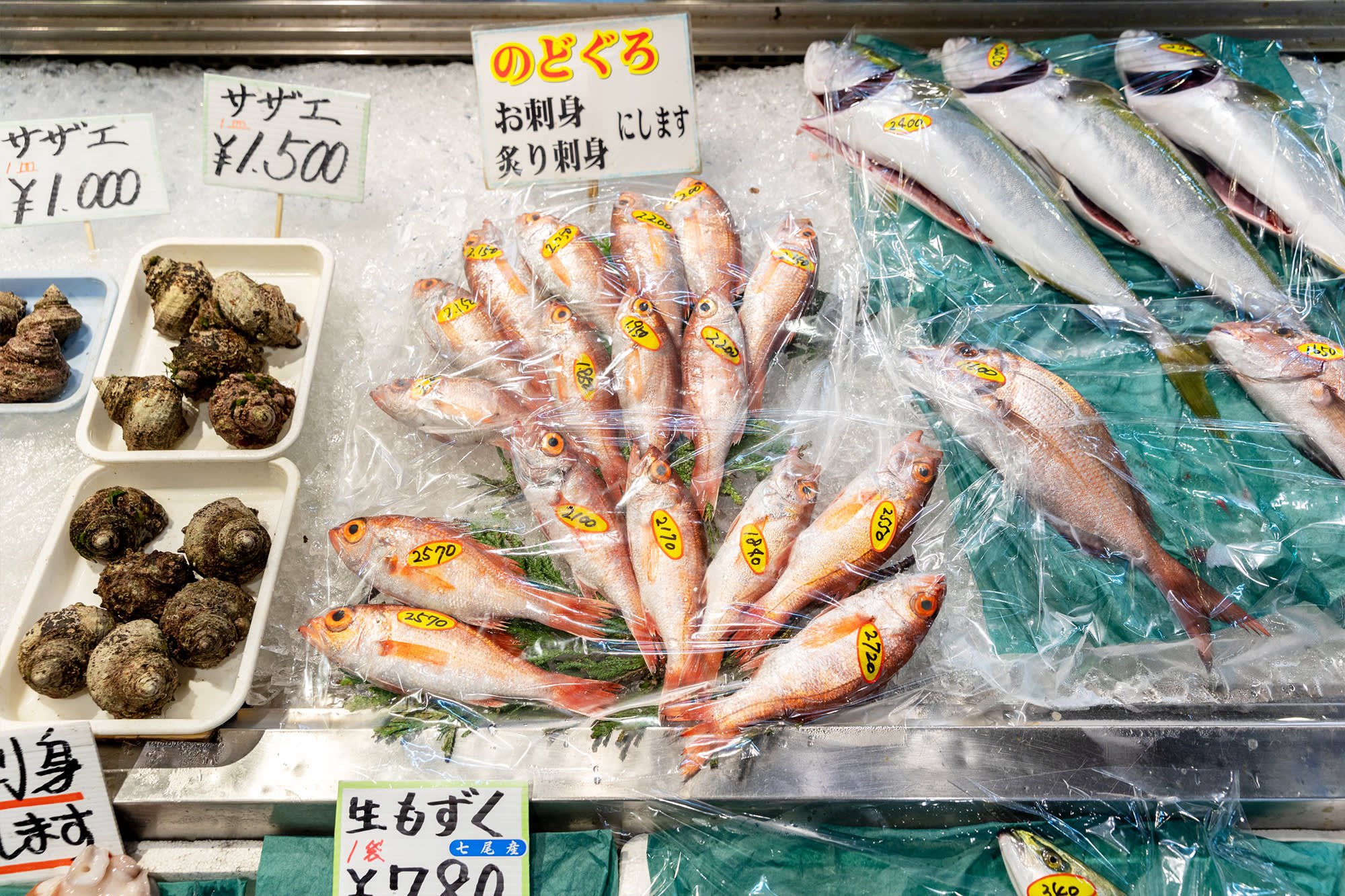 🛍️ 노토 음식 축제 시장 휴게소 (미치노에키 노토 쇼쿠사이 이치바 나나오 피셔맨즈 와프)